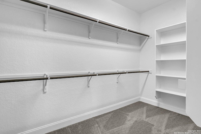 walk in closet with carpet floors