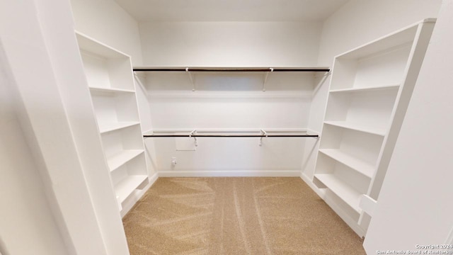 walk in closet featuring light colored carpet