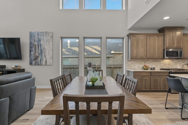 dining room with light hardwood / wood-style floors