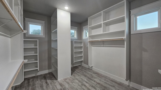 spacious closet featuring dark hardwood / wood-style floors