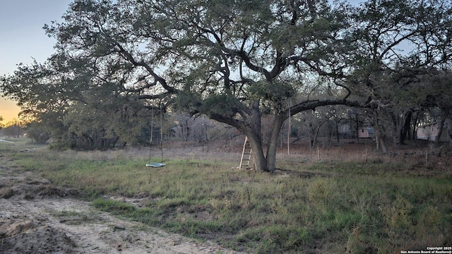 view of yard at dusk