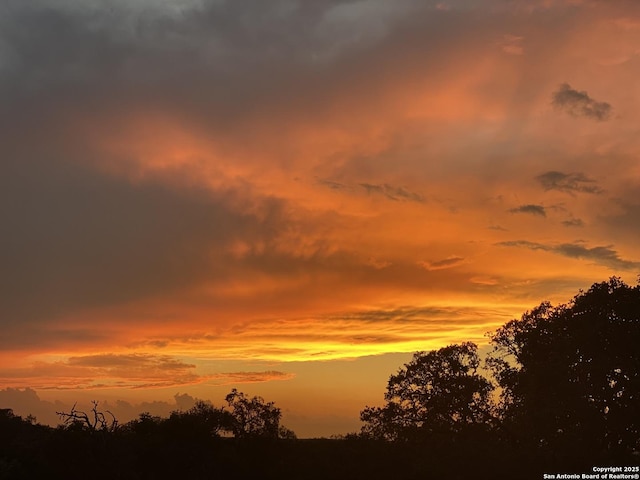 view of nature at dusk