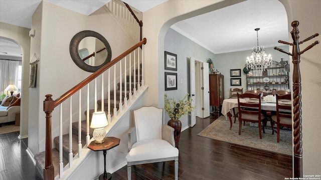 interior space featuring dark hardwood / wood-style flooring, an inviting chandelier, and ornamental molding