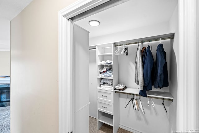 view of closet