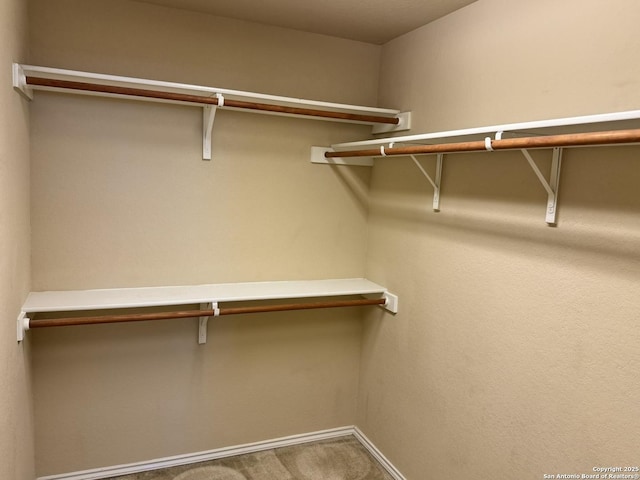 spacious closet featuring carpet flooring