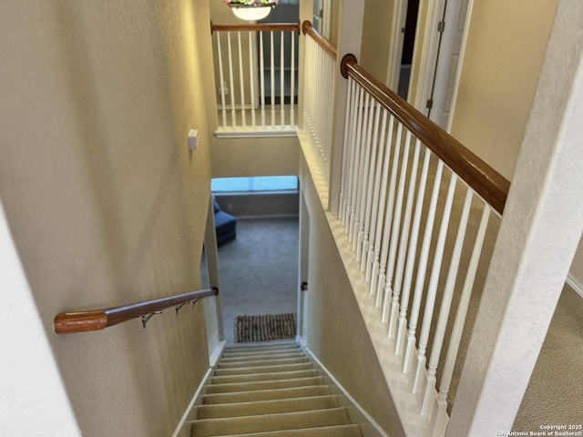 staircase featuring carpet floors