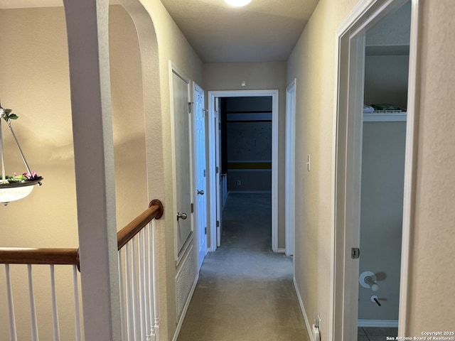 hallway featuring carpet flooring