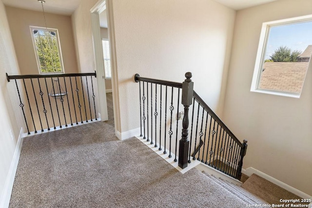 stairway featuring carpet flooring and plenty of natural light