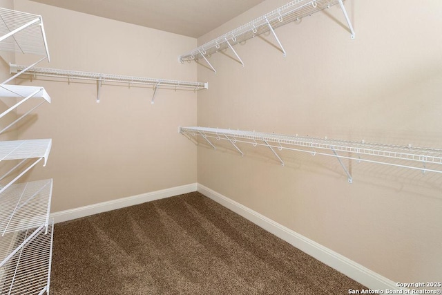 walk in closet with carpet