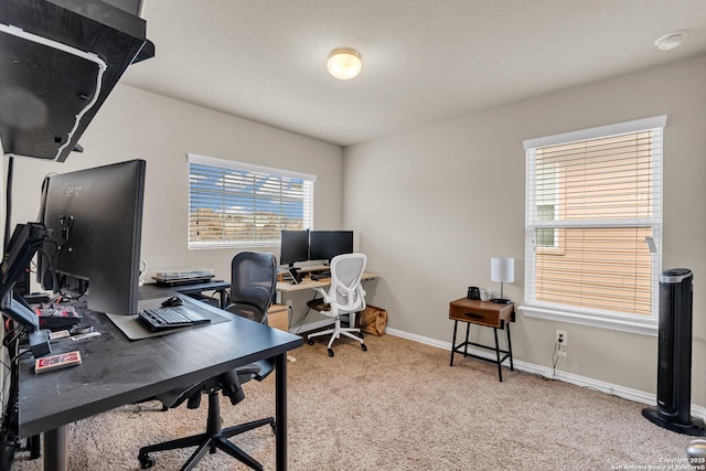 carpeted office space with a wealth of natural light