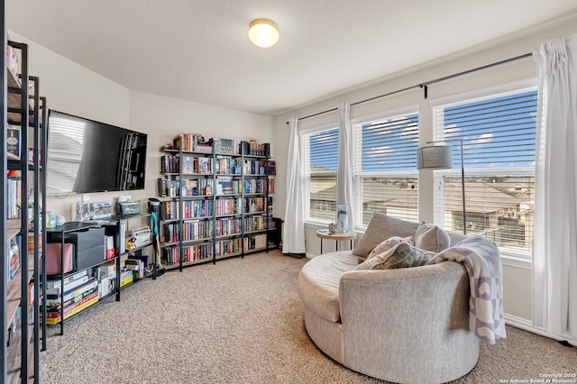 sitting room with carpet floors