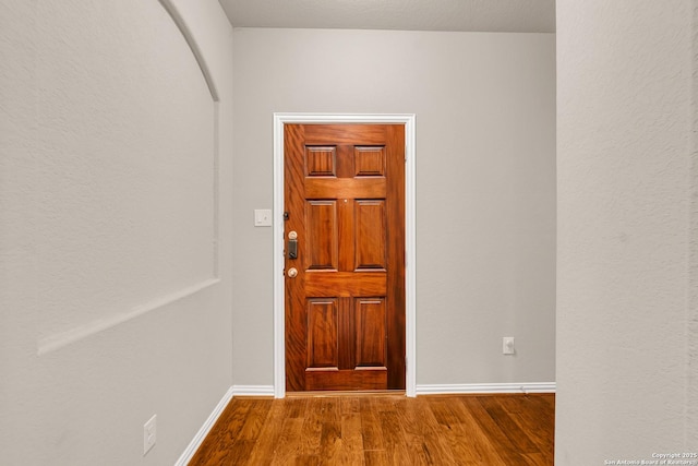 interior space with wood-type flooring