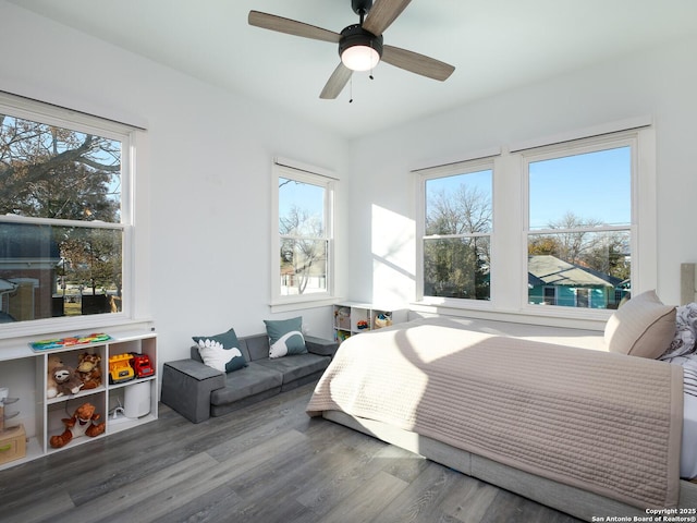 bedroom featuring ceiling fan, multiple windows, and dark hardwood / wood-style floors