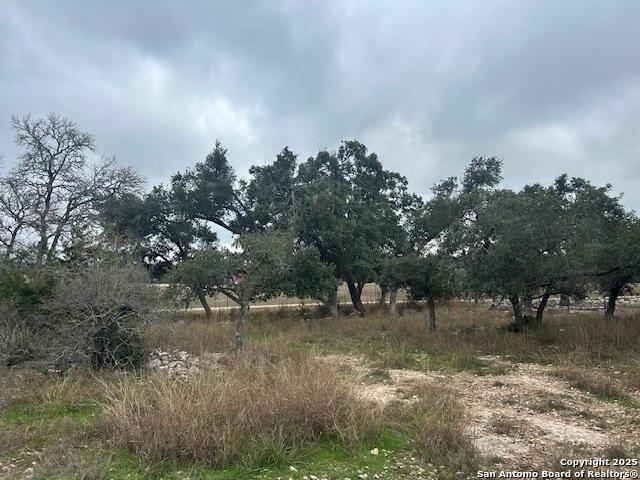 432 George Dolson, Blanco TX, 78606 land for sale