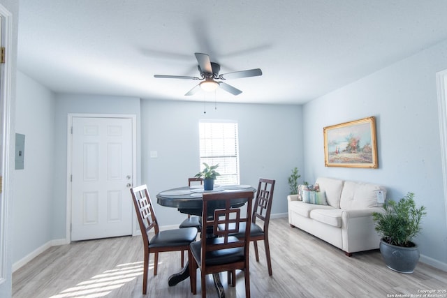 dining area featuring ceiling fan and light hardwood / wood-style floors