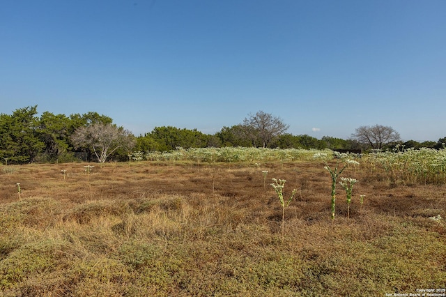 view of landscape featuring a rural view