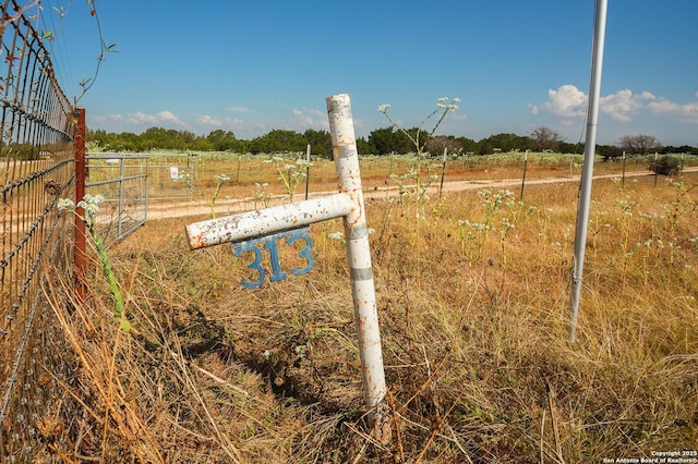 view of yard featuring a rural view