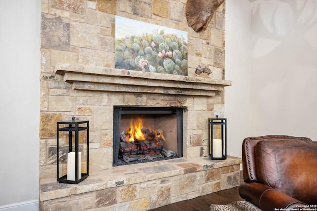 room details featuring wood finished floors and a stone fireplace