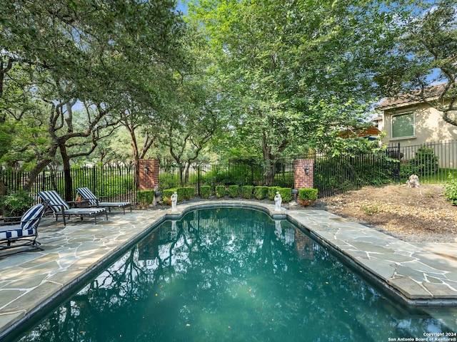 view of swimming pool with a patio area