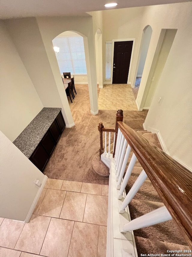 staircase featuring carpet floors