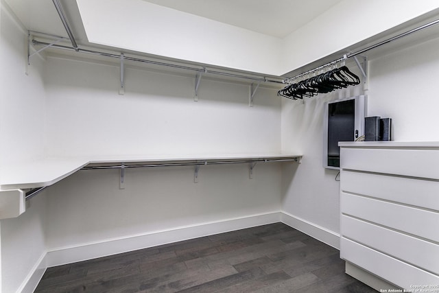 spacious closet with dark hardwood / wood-style flooring