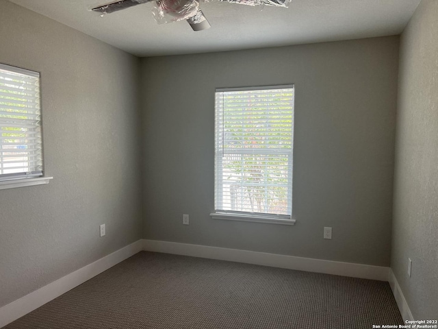 spare room featuring ceiling fan and carpet floors