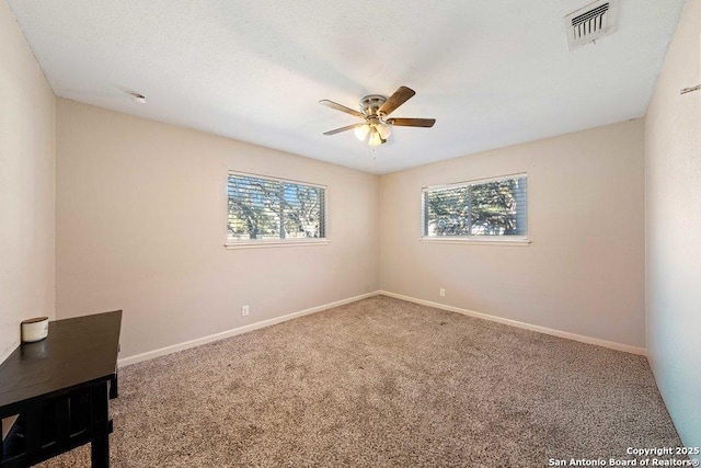 unfurnished room featuring a wealth of natural light, carpet floors, a textured ceiling, and ceiling fan