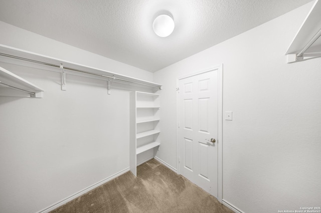 walk in closet with light carpet