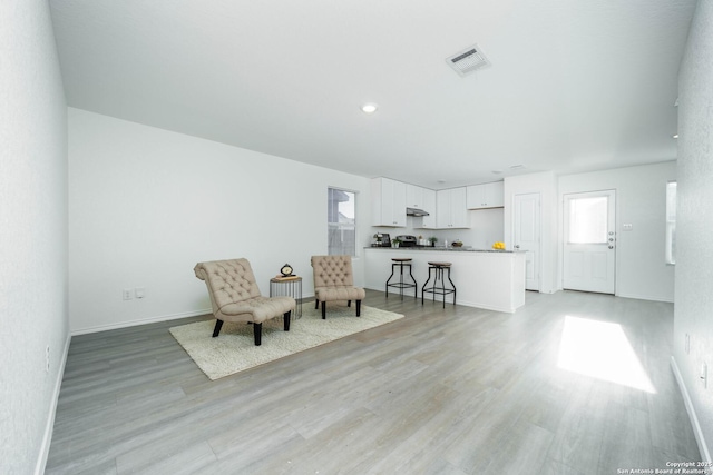 living area featuring light hardwood / wood-style floors