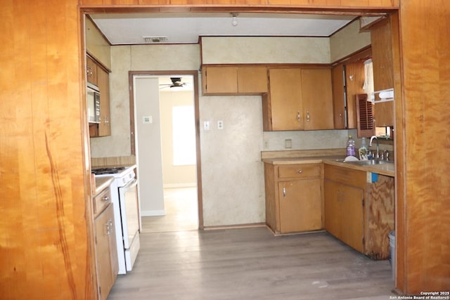 kitchen with ceiling fan, light hardwood / wood-style floors, white range oven, and sink