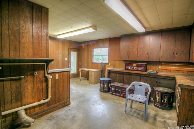 basement with wooden walls