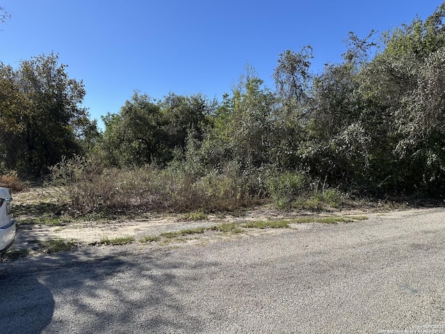 00 Wild Bee Dr, Von Ormy TX, 78073 land for sale