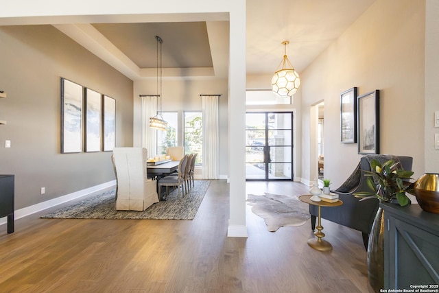 dining room with a tray ceiling and hardwood / wood-style flooring