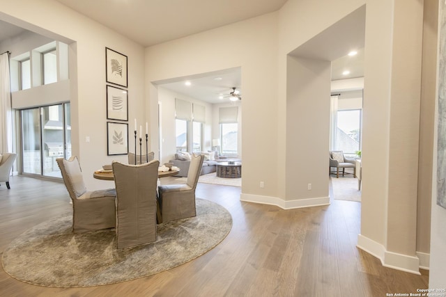 dining room featuring ceiling fan and wood-type flooring