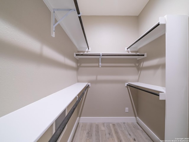 spacious closet featuring light wood-type flooring