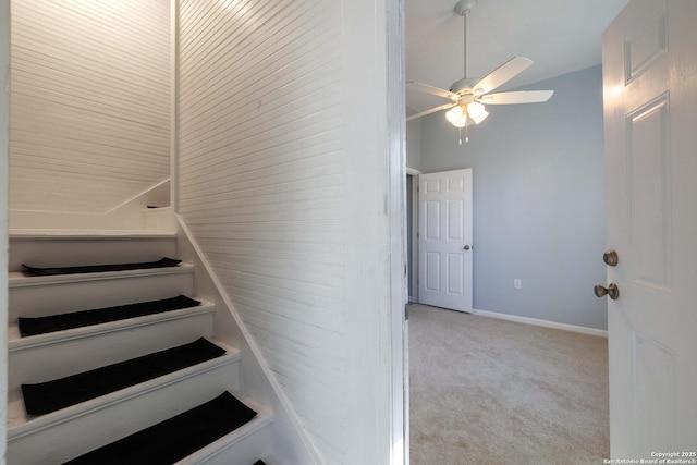 staircase featuring ceiling fan and carpet