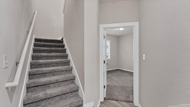 staircase featuring hardwood / wood-style flooring