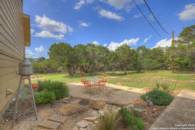 view of yard featuring a patio