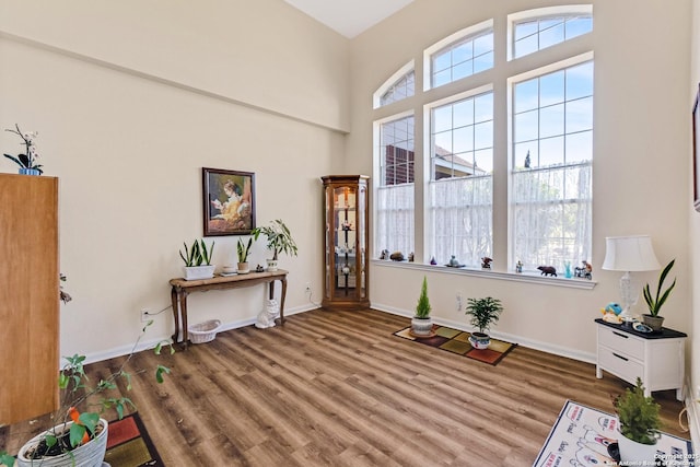 interior space with hardwood / wood-style floors