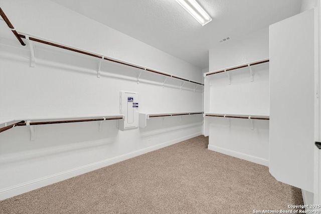 spacious closet with carpet flooring and visible vents