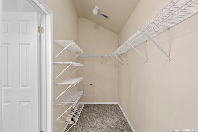 walk in closet with carpet and vaulted ceiling