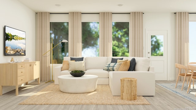 living area featuring light hardwood / wood-style floors