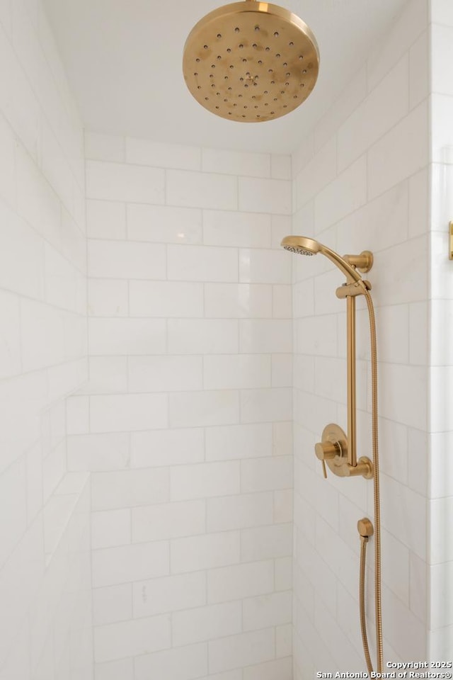 room details with tiled shower