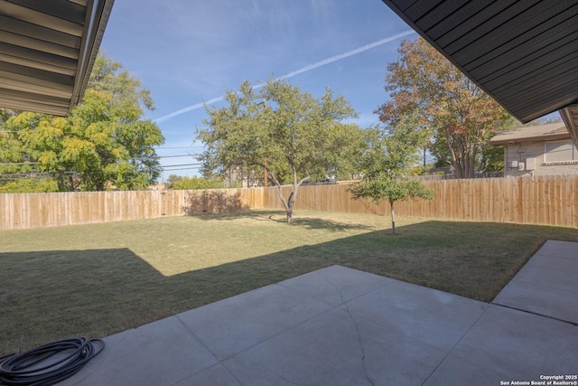 view of yard featuring a patio