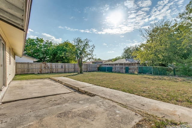 view of yard featuring a patio area