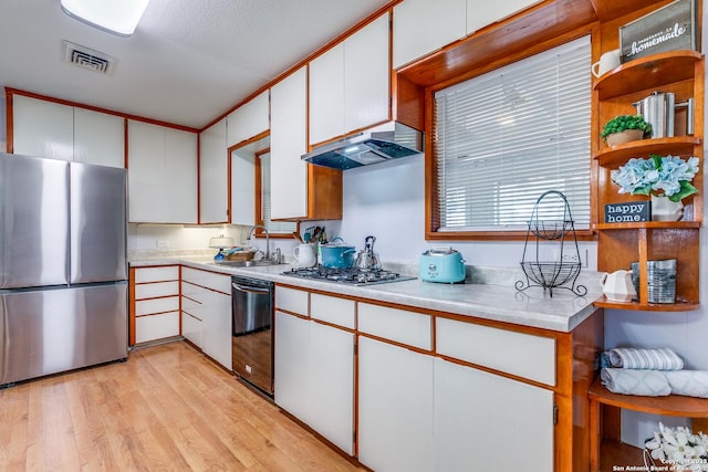 kitchen with white cabinets, ventilation hood, stainless steel appliances, and sink