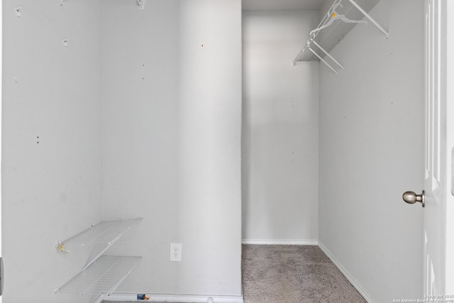 spacious closet with carpet flooring