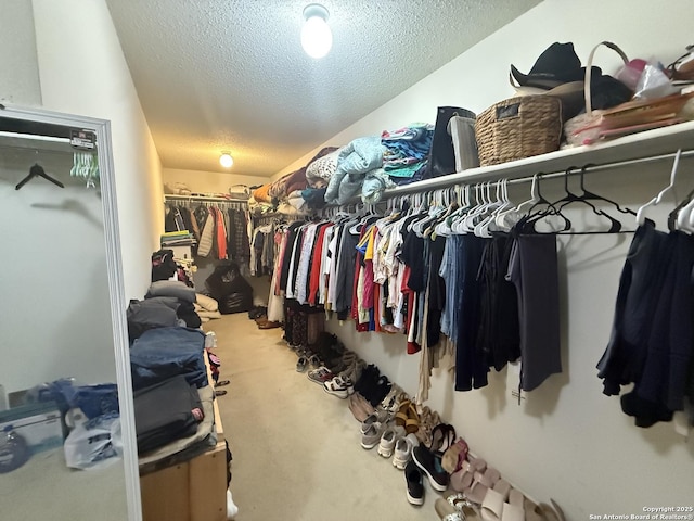 spacious closet featuring carpet flooring