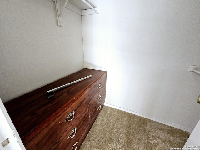 spacious closet featuring carpet floors