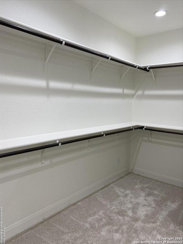 spacious closet with light colored carpet